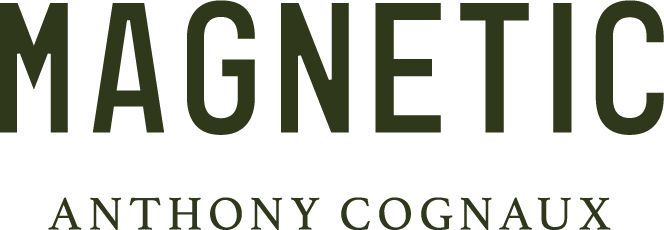 Logo Magnetic